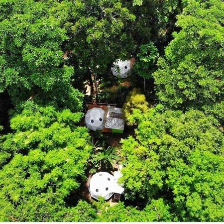 فندق Faith Glamping Dome Costa Rica مانزانيلو المظهر الخارجي الصورة