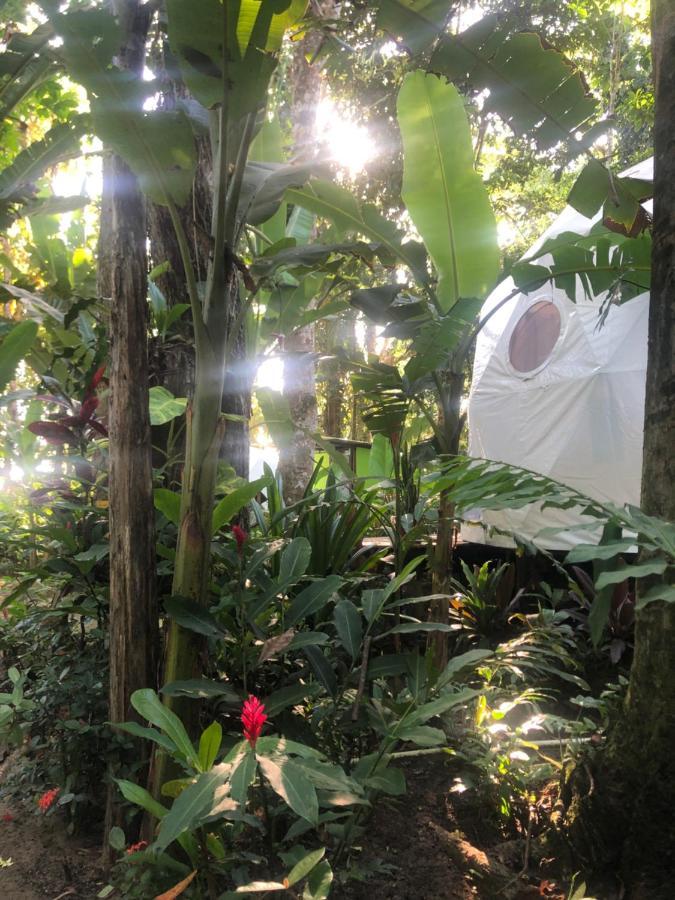 فندق Faith Glamping Dome Costa Rica مانزانيلو المظهر الخارجي الصورة