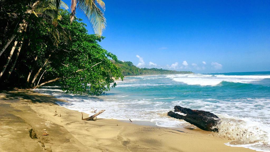 فندق Faith Glamping Dome Costa Rica مانزانيلو المظهر الخارجي الصورة